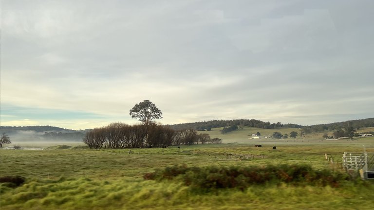 PAMBULA FLAT-1.png