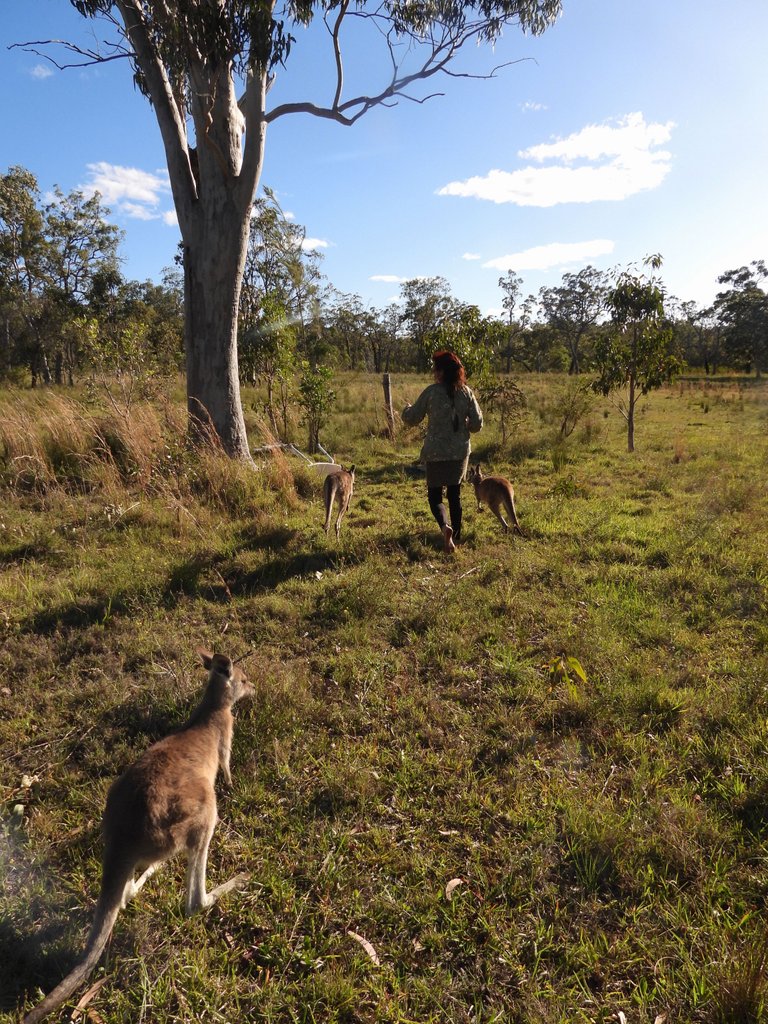 SARAH AND 3 JOEYS.JPG