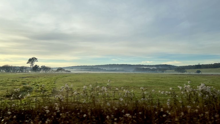 PAMBULA FLAT-2.png