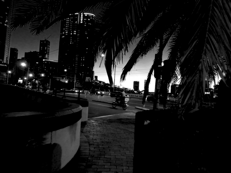 crown n palms B&W.png