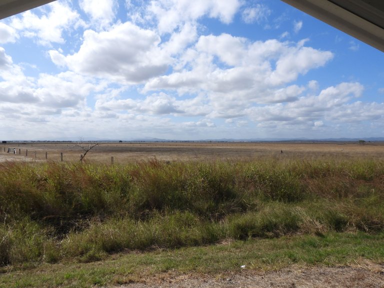 DSCN5591.JPG