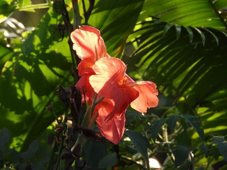 DSCN2792.JPG