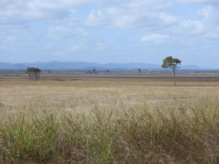 DSCN5594.JPG