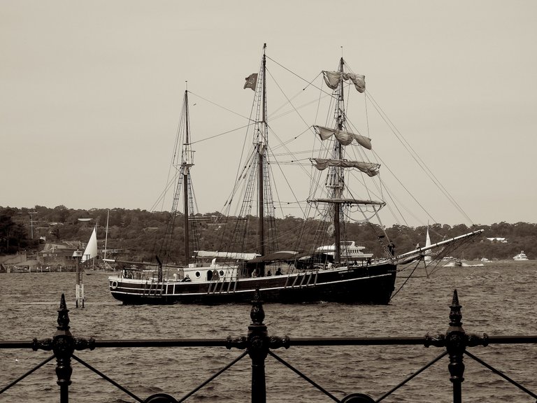 TALL SHIP1.JPG