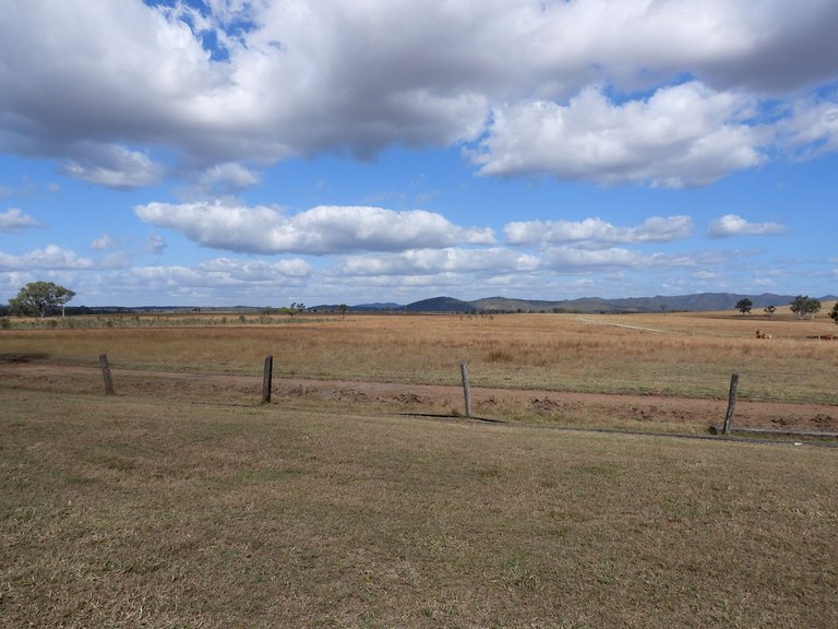 DSCN5615.JPG