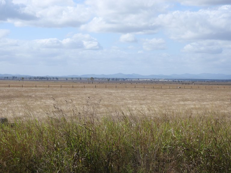 DSCN5592.JPG