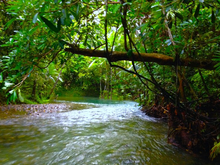 GREENHOLE.JPG