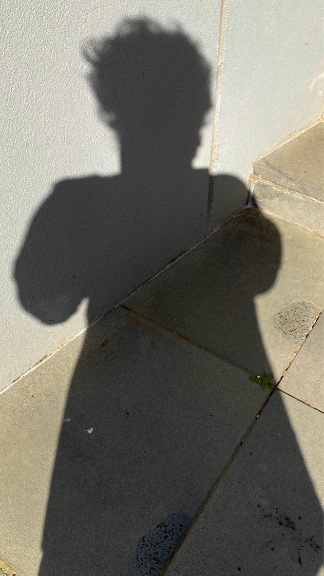 shadow 1.jpg