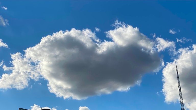 cloud8the dog.jpg