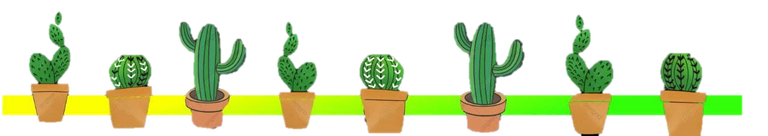 Separador de cactus.png