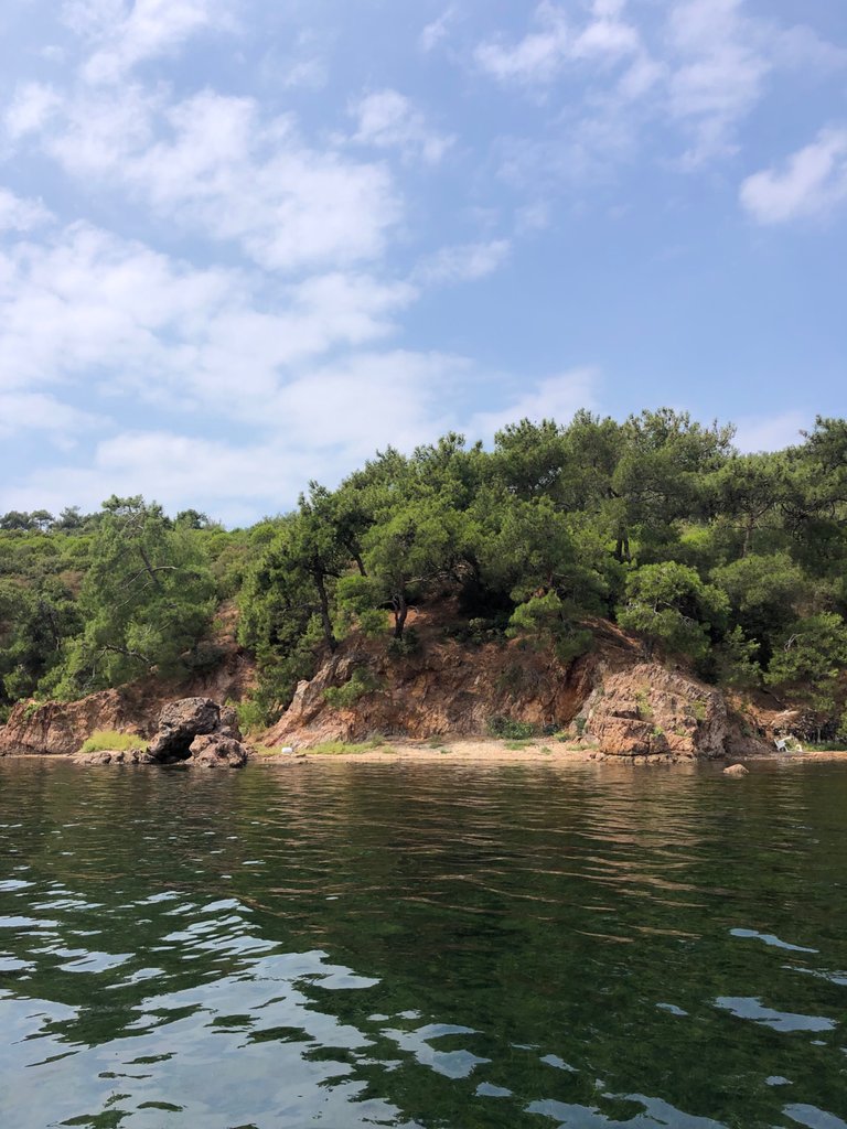 IMG_1626.jpeg