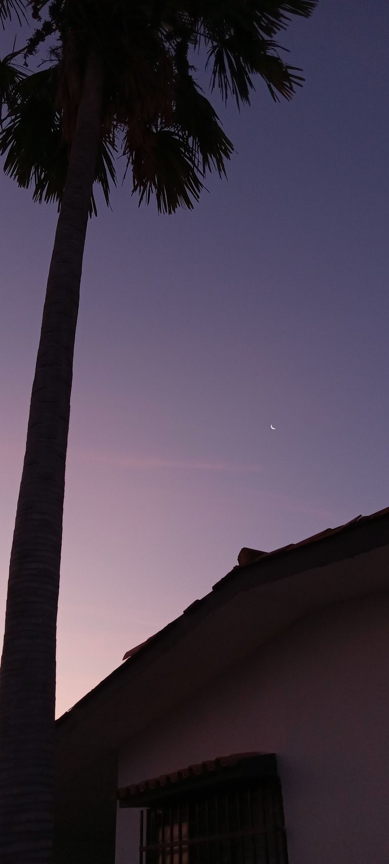 20250325_062156.jpg