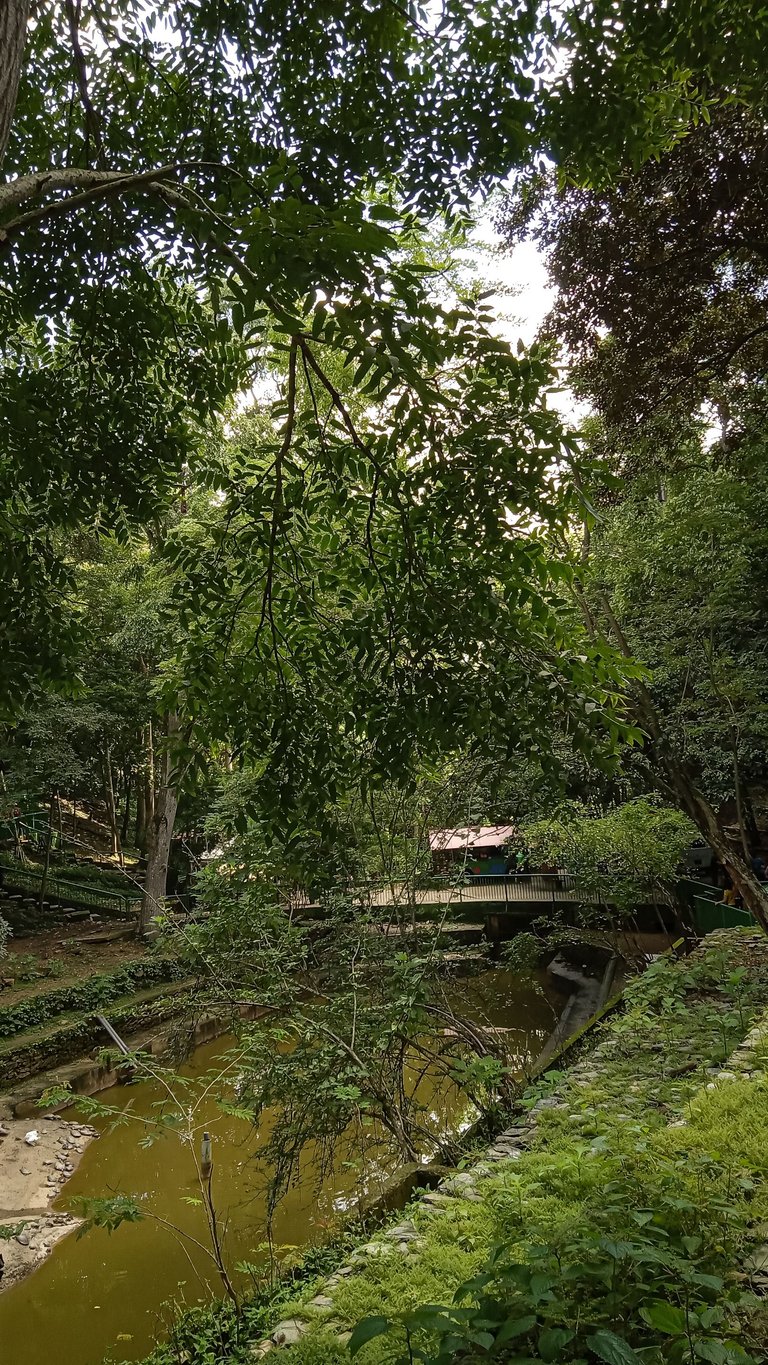 20240824_111154.jpg