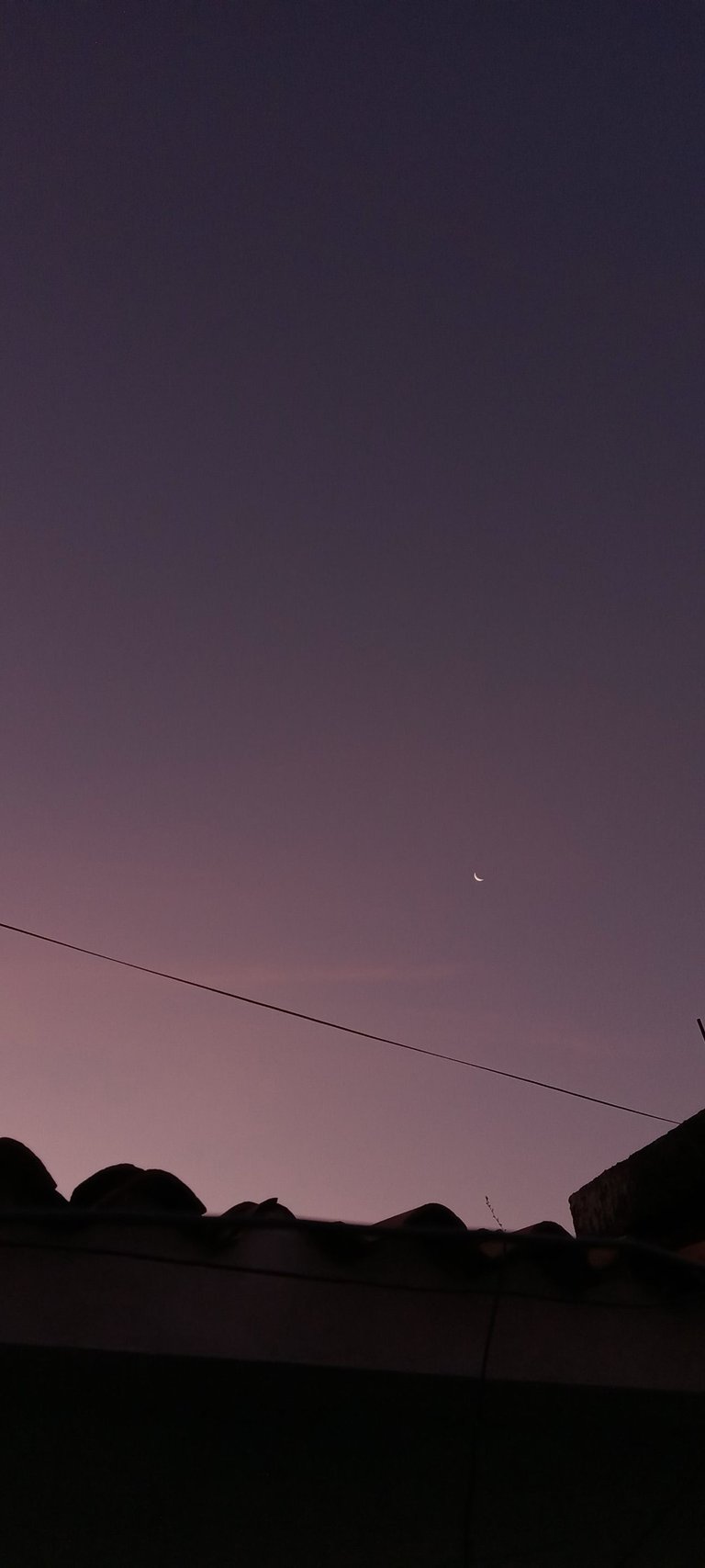 20250325_062246.jpg