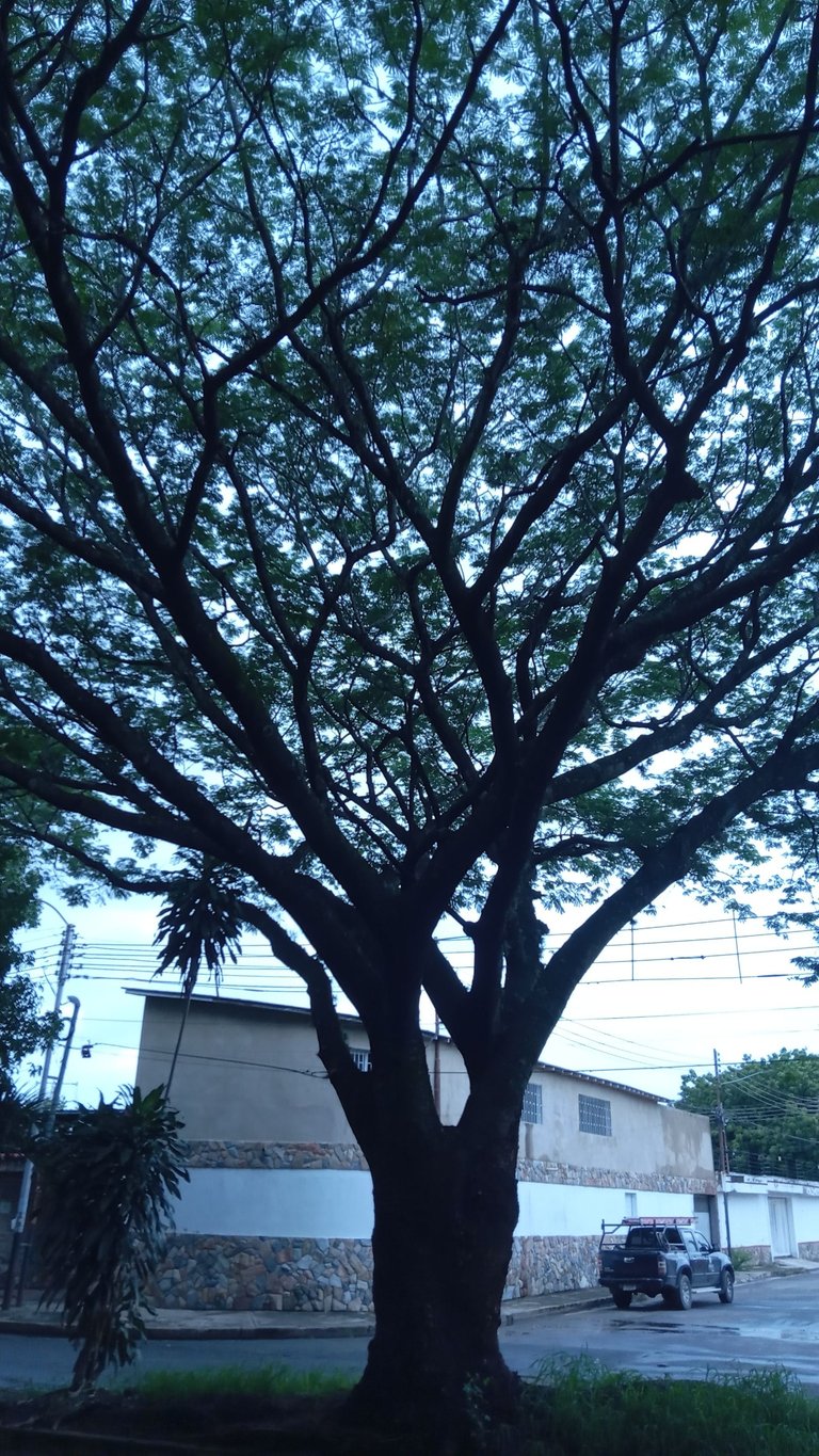 20250723_151043.jpg