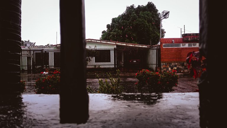 lrm_20230726_163204.jpg