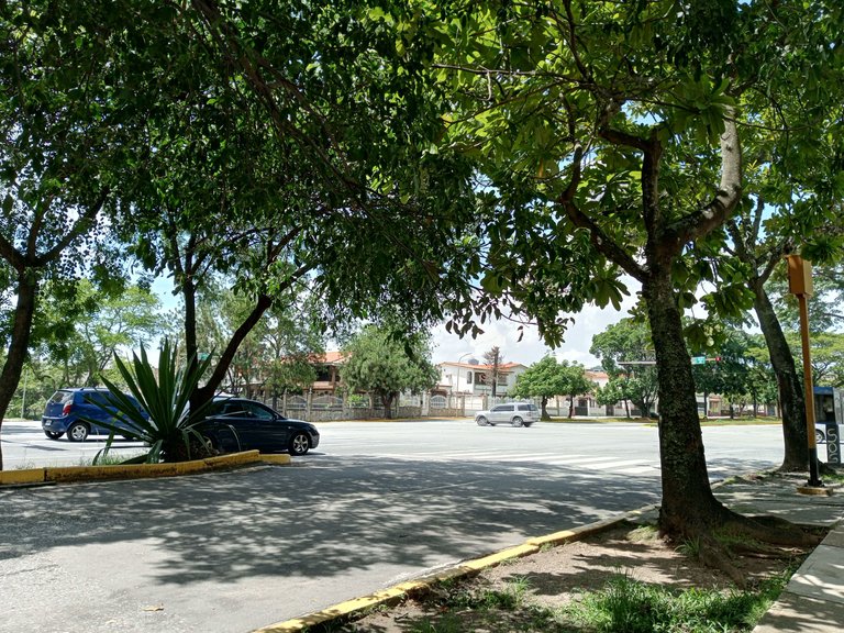 IMG_20250728_111638_696.jpg