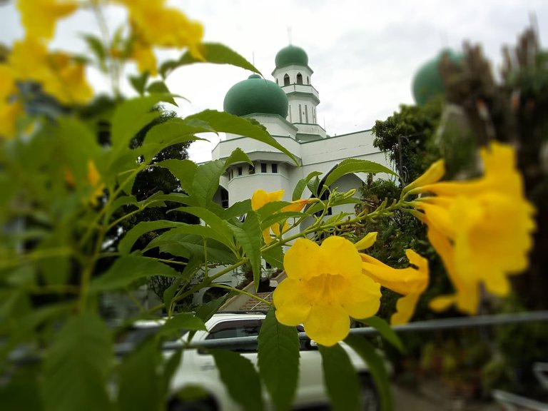 masjid flowers3.jpg