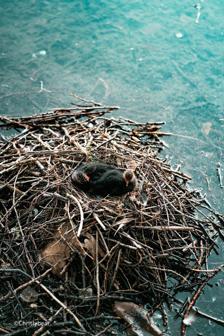 20250617-DSC01368.jpeg