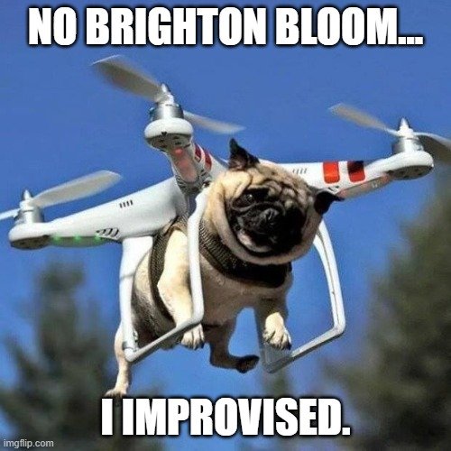 pugcopter.jpg