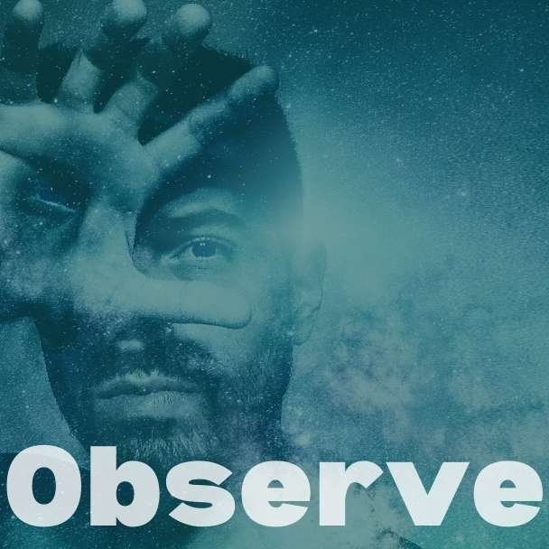 Copy of Observe.jpg