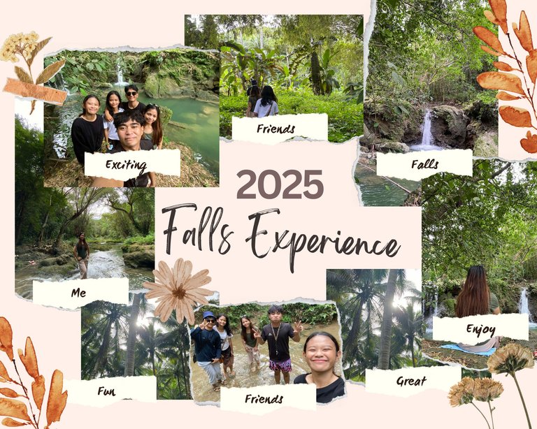 Brown Organic Vision Board Photo Collage_20250327_192836_0000.png