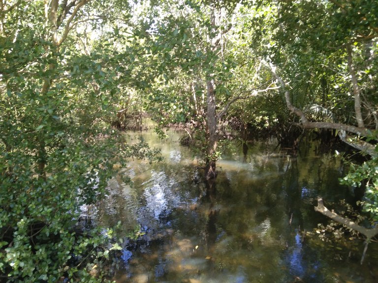 IMG_20250407_141943.jpg