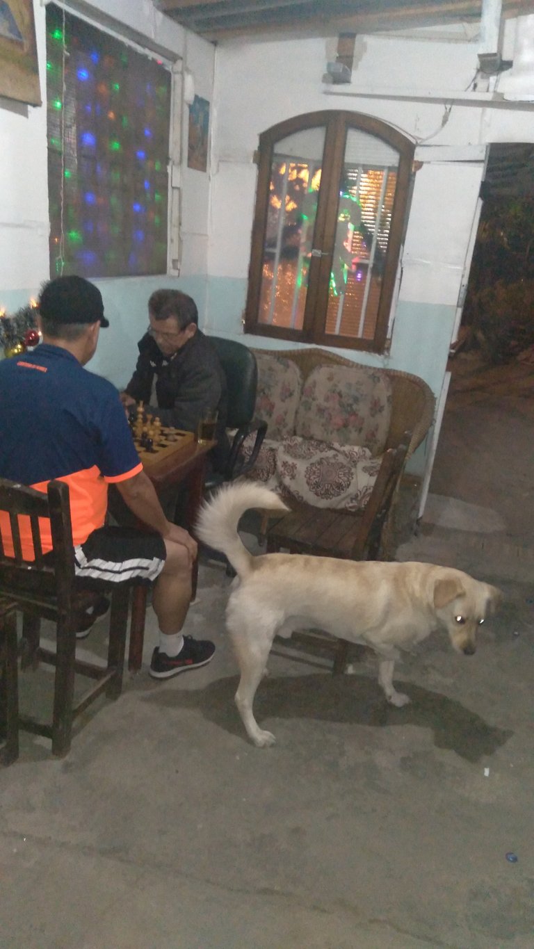 20201220_213659.jpg