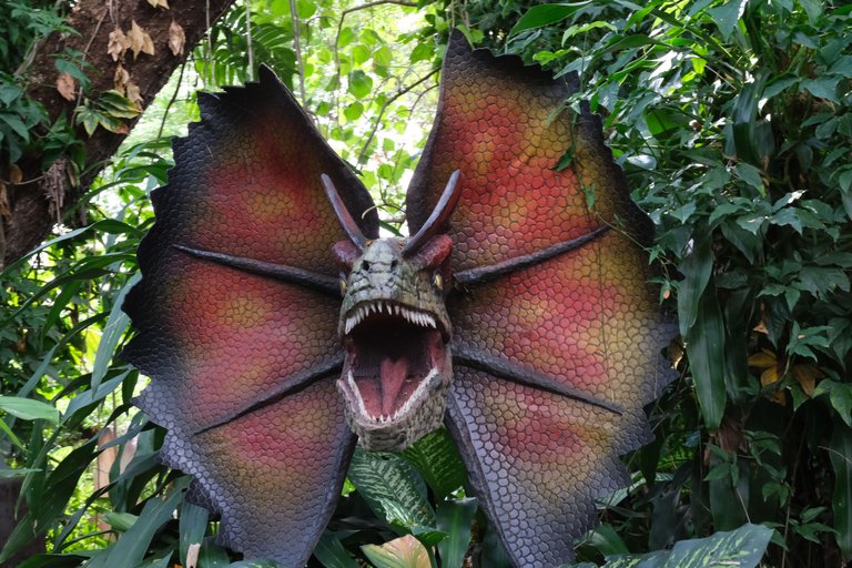 Dilophosaurus