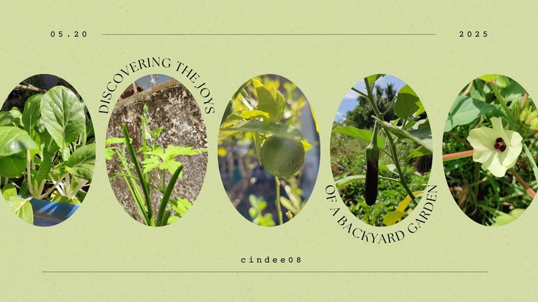 Discovering the Joys of a Backyard Garden.png