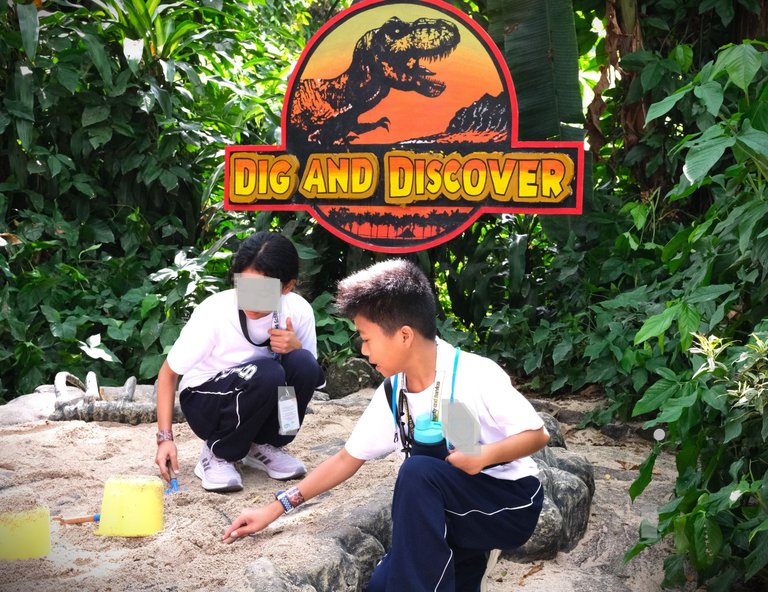 Dig and Discover