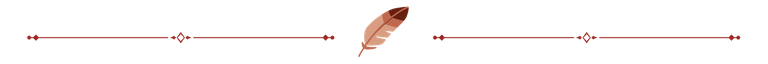feather divider.png