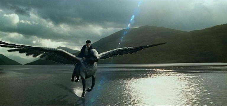 harry.jpeg