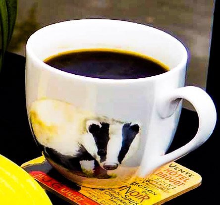 badger coffee cup.jpg