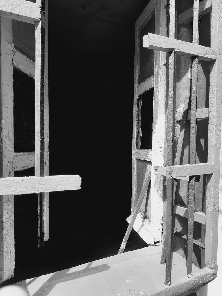20250329_102731.jpg