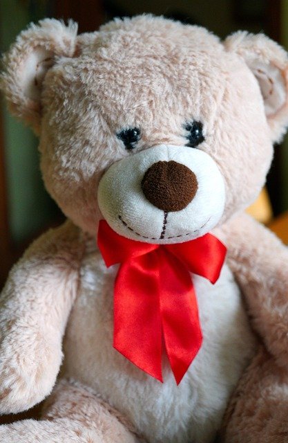 teddy-bear-6089681_640.jpg
