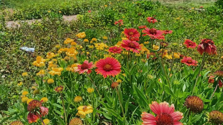IMG_20221205_130224_HDR.jpg