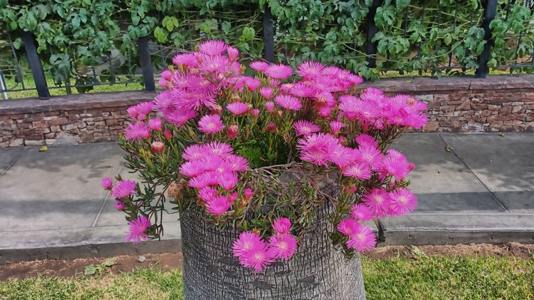 IMG_20221128_144345_HDR.jpg