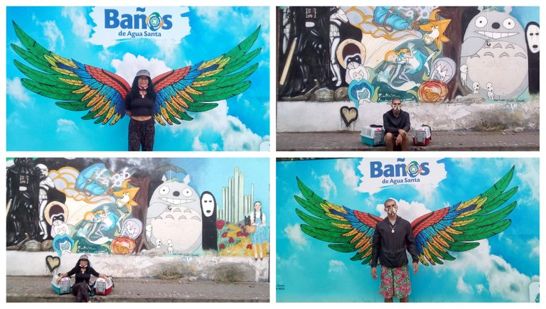 baños alas collage.jpg