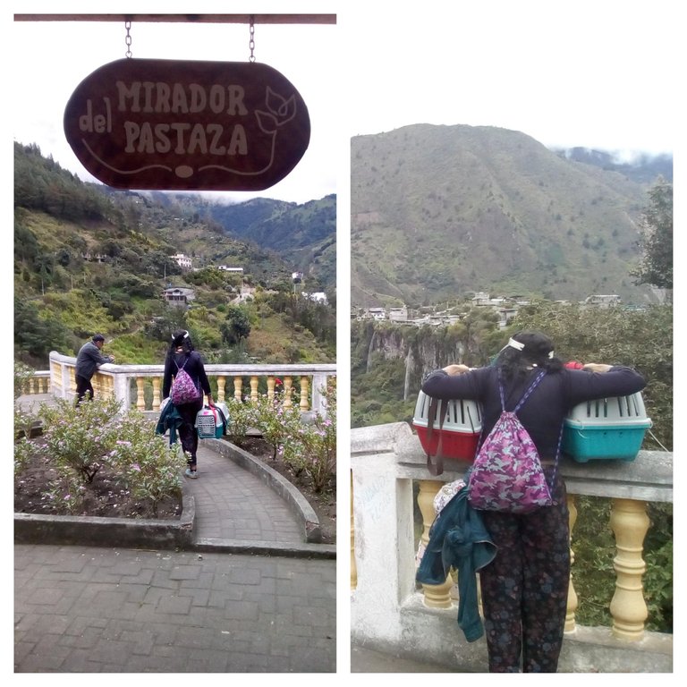 mirador collage.jpg