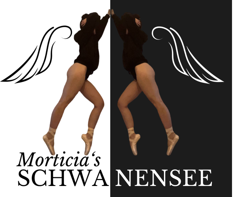 schwanensee_profile.png