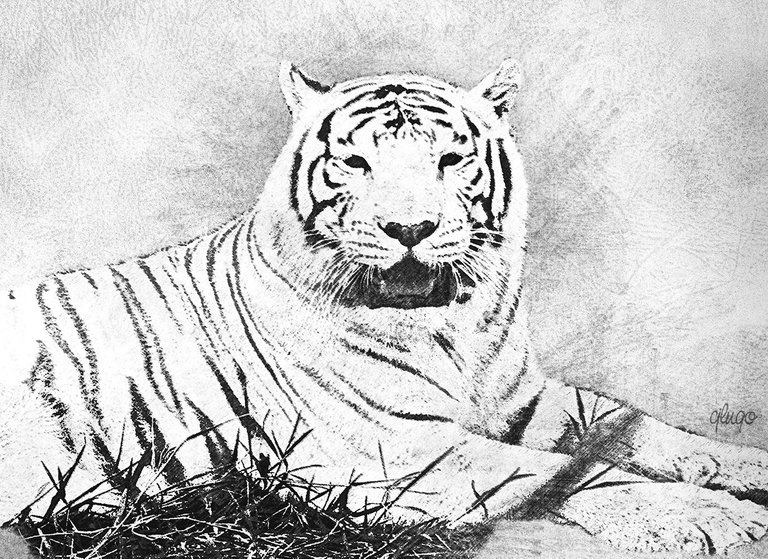 Tigre pintado final.jpg