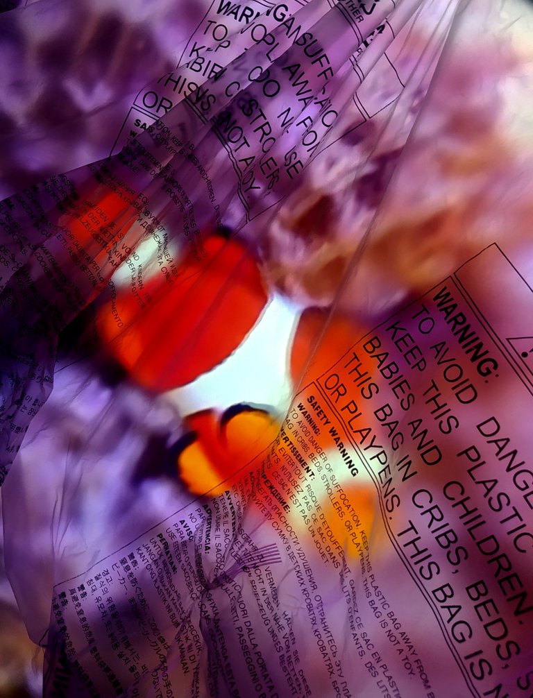 PicsArt_11-28-05.14.51.jpg