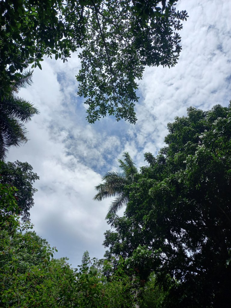 20230902_140902.jpg