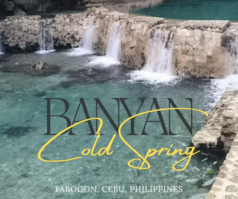 Banyan_20250604_124733_0001.png