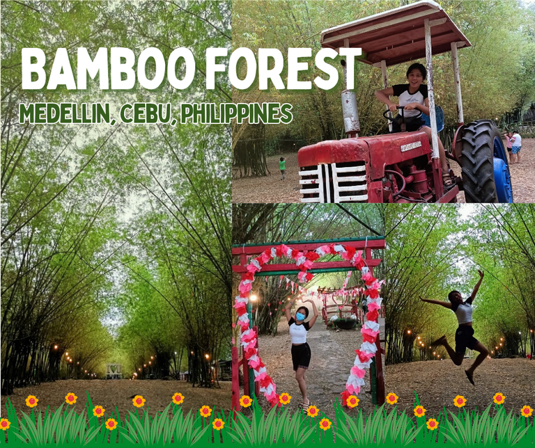 A TRIP FULL OF SMILES - at Bamboo Forest, Medellin, Cebu 