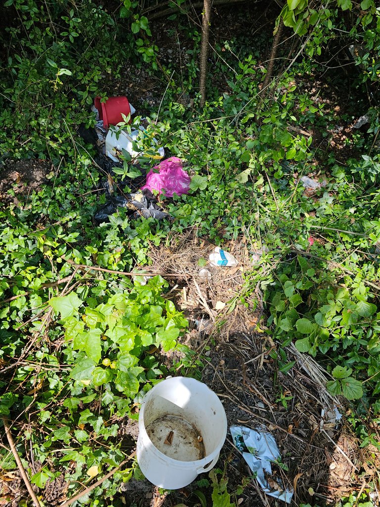 20230706_103128.jpg
