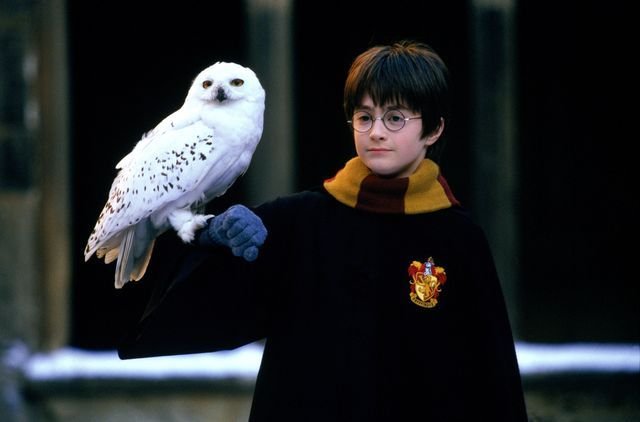 harry-potter-y-la-piedra-filosofal03-1636537298.jpg