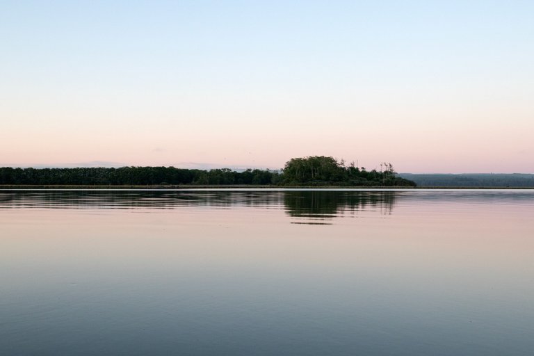 IMG_4356.jpg