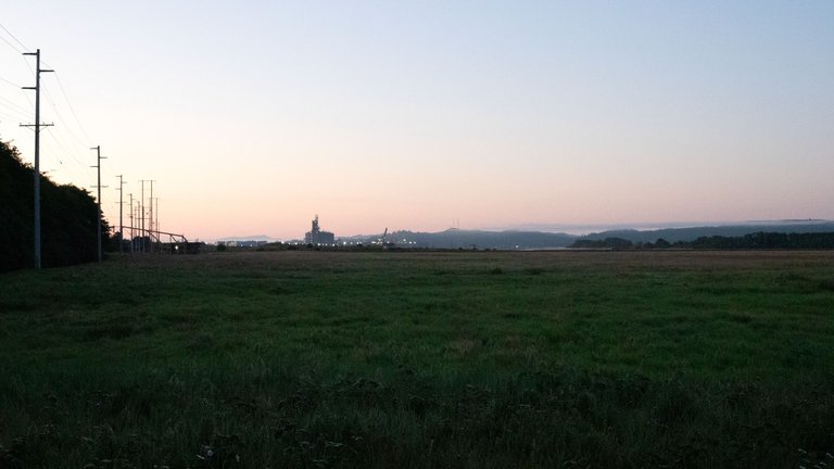 IMG_4320.jpg